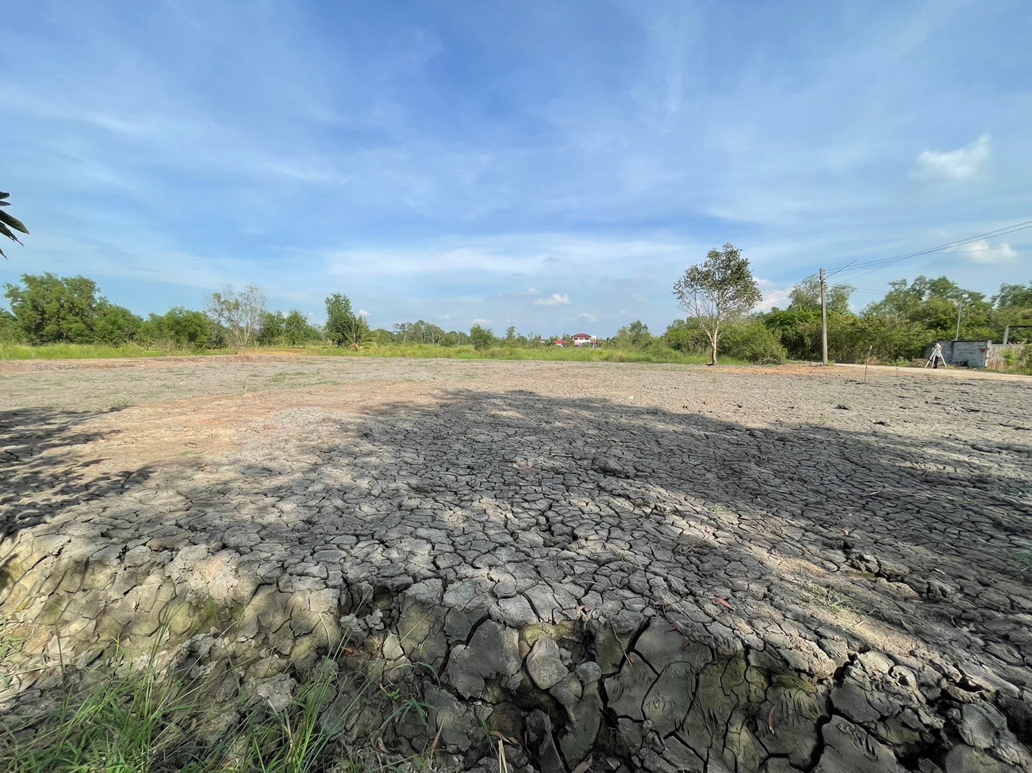 ขายที่ดินคลอง10 เหมาะทำบ้านสวน ติดถนนคอนกรีต ใกล้แหล่งชุมชน ปทุมธานี