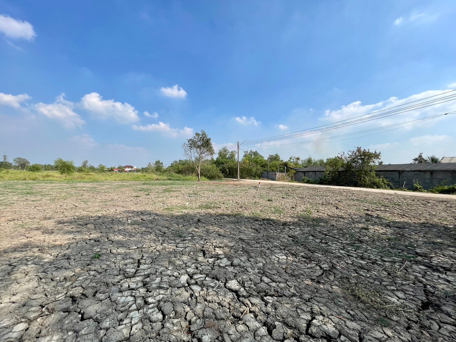 ขายที่ดินคลอง10 เหมาะทำบ้านสวน ติดถนนคอนกรีต ใกล้แหล่งชุมชน ปทุมธานี