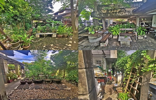 ขายบ้านเดี่ยวนนทบุรี 2 ชั้น 90 ตร.ว หมู่บ้านพรหมนิเวศน์ ซอยสามัคคี 36 หลังมุม