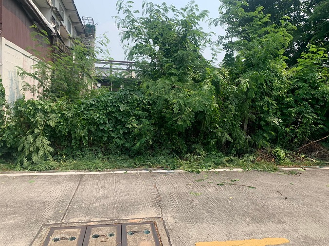 ขายที่ดิน ถูกที่สุดในโครงการ ที่ดินอยู่ในโครงการหมู่บ้านกฤตยาซอย 6