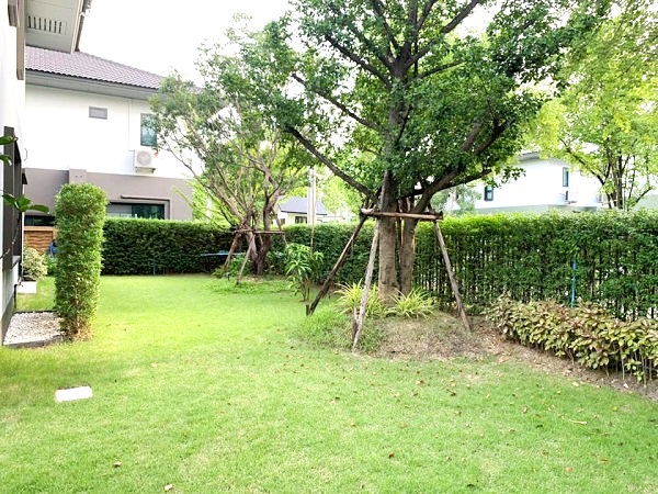  ให้เช่าบ้านเดี่ยว  2 ชั้น  บุราสิริ วงแหวน – อ่อนนุช   ใกล้เมกะบางนา  หลังมุม หันไปทางทิศเหนือ  พื้นที่  106  ตรว 4 ห้องนอน  6 ที่จอดรถ ใช้สอย   223  ตรม.  4 ห้องนอน 3 ห้องน้ำ 1 ห้องแม่บ้าน