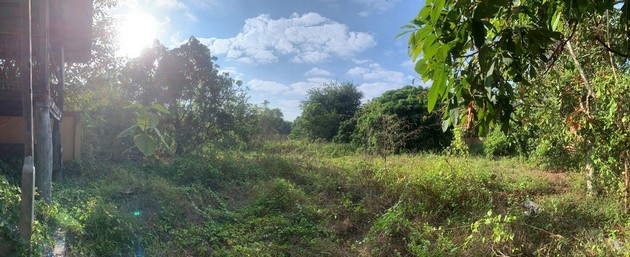 ขายที่ดินสวย ไม่ไกลจากตัวเมืองมาก ทำเลดี  อ.สารภี จ.เชียงใหม่ 