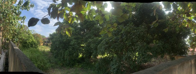 ขายที่ดินสวย ไม่ไกลจากตัวเมืองมาก ทำเลดี  อ.สารภี จ.เชียงใหม่ 