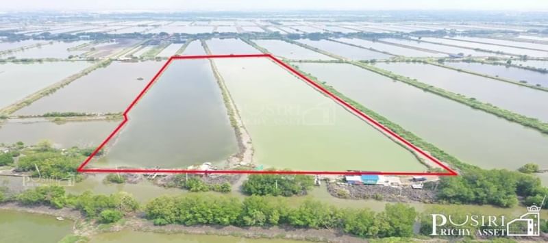 ที่ราคาพิเศษ สร้างโรงงานได้ใกล้พระราม 2 บางขุนเทียน 35.5 ไร่ ขอใบ รง.4 ได้ เทรลเลอร์เข้าสะดวก เส้นบางขุนเทียน - พันท้าย KK5374S