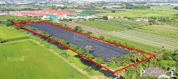 ซื้อทำกำไร + สร้างมูลค่าเพิ่มได้มากกว่าเท่าตัวกับที่ 6ไร่เศษ ใกล้ โครงการถนนตัดใหม่ กัลปพฤกษ์ – พุทธสาคร KK5415S