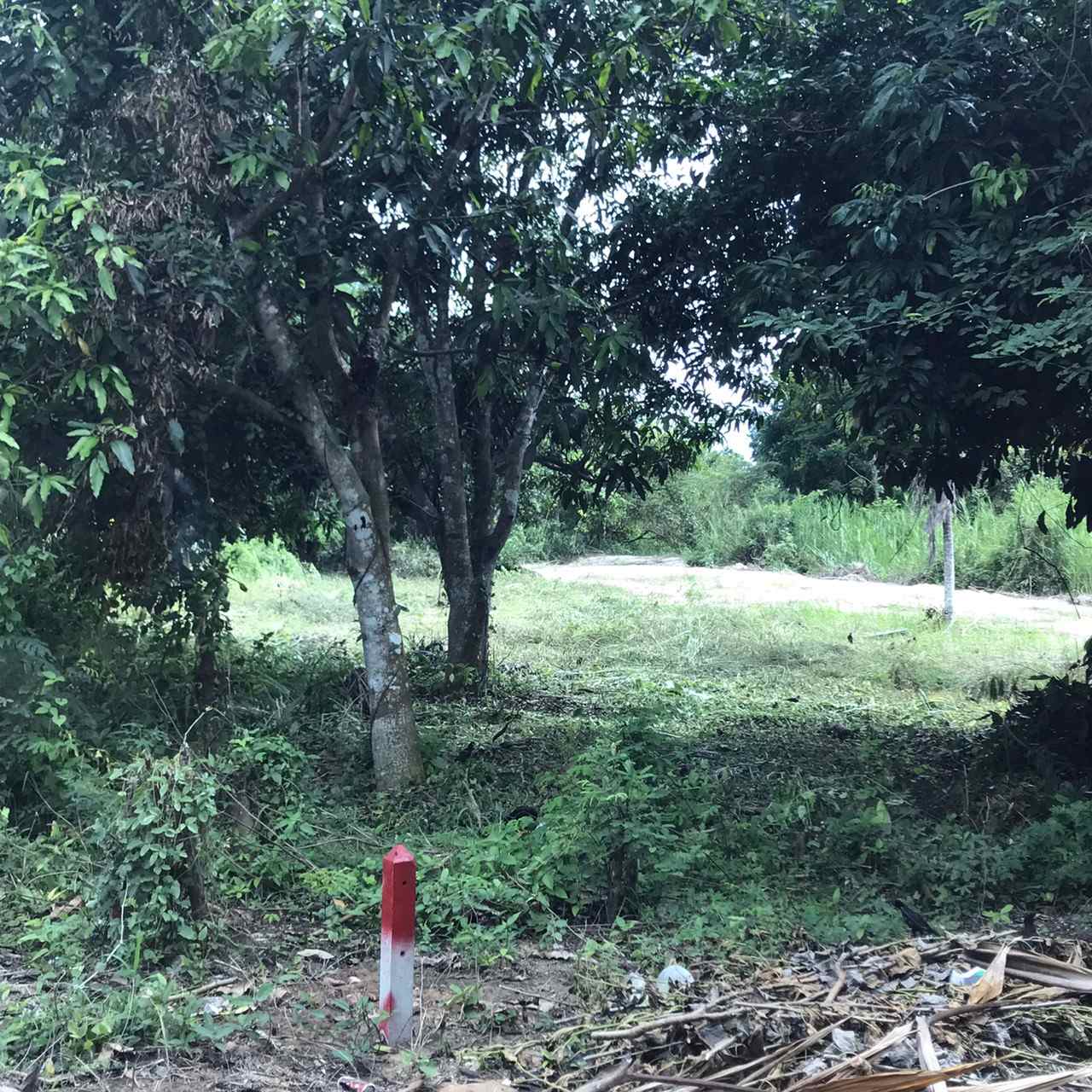 ขายที่ดินทำเลดีใกล้หาดชะอำ อำเภอท่ายาง จังหวัดเพชรบุรี