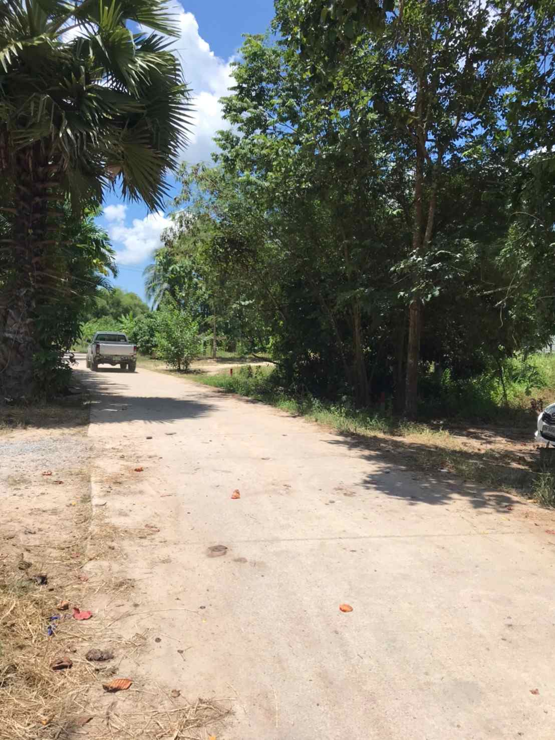 ขายที่ดินทำเลดีใกล้หาดชะอำ อำเภอท่ายาง จังหวัดเพชรบุรี