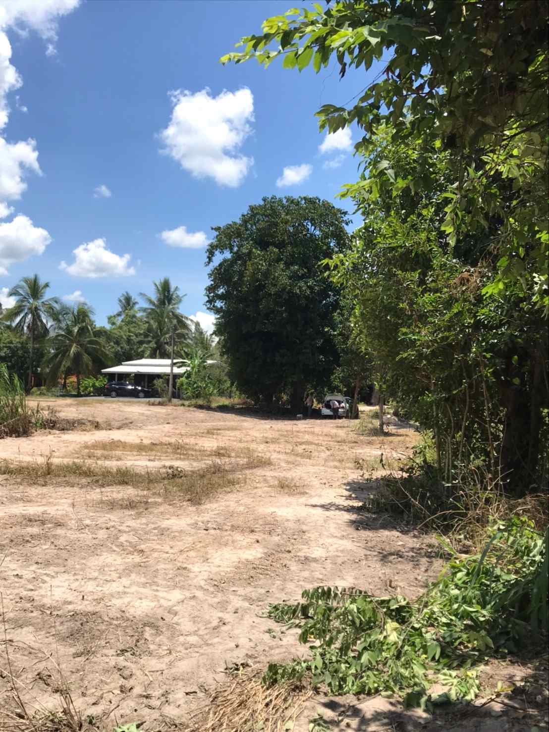 ขายที่ดินทำเลดีใกล้หาดชะอำ อำเภอท่ายาง จังหวัดเพชรบุรี