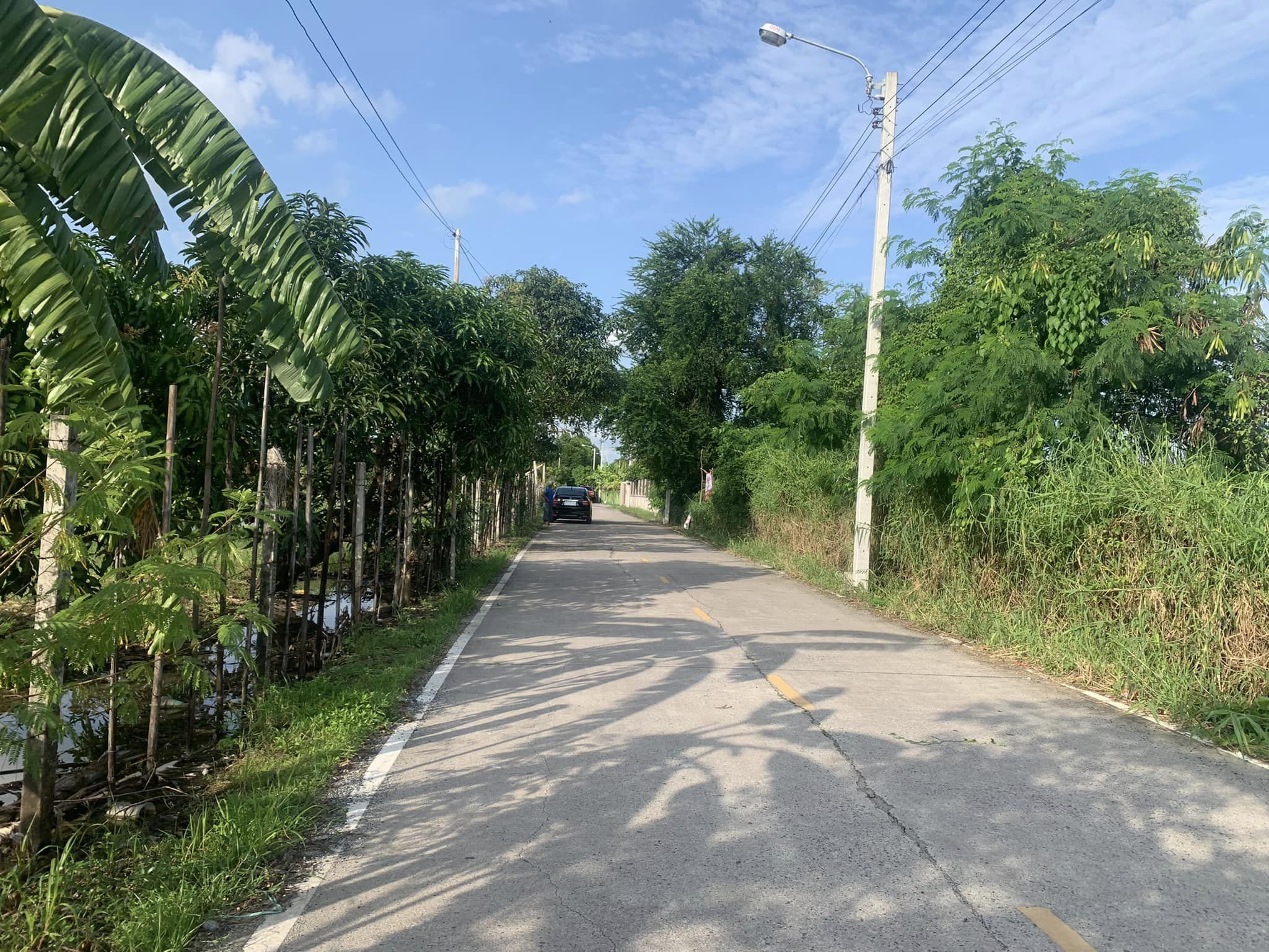 ขายที่ดิน ซอยมังกร ขันดี 9 เมือง สมุทรปราการ