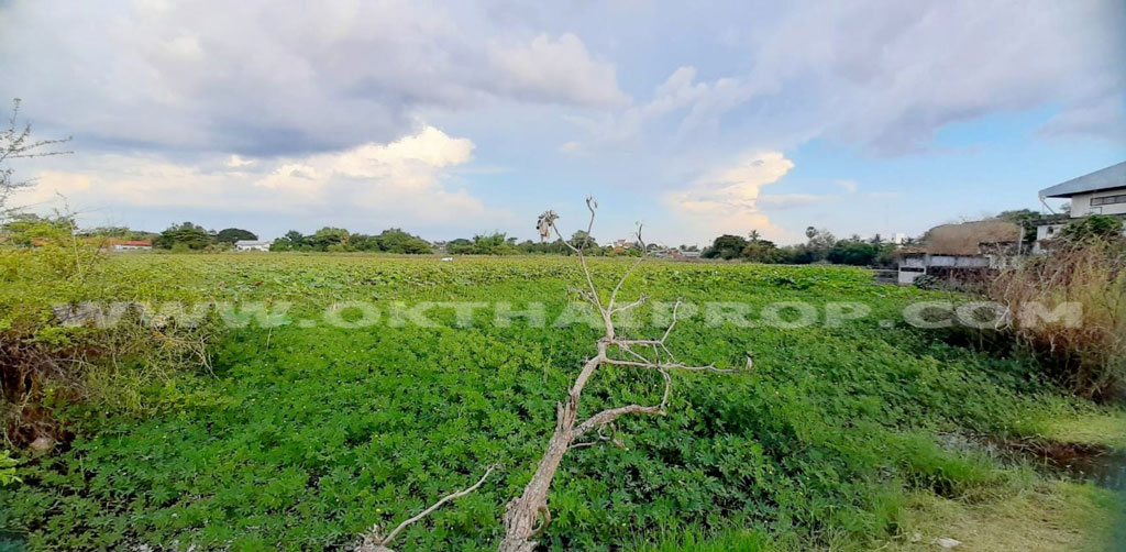 ที่ดิน ต.ห้วยเหนือ อ.ขุขันธ์ จ.ศรีสะเกษ