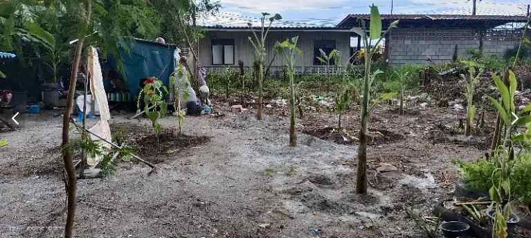 ขายที่ดินถมแล้วย่านใจกลางเมือง ตำบล ห้วยกะปิ อำเภอ เมืองชลบุรี ชลบุรี 