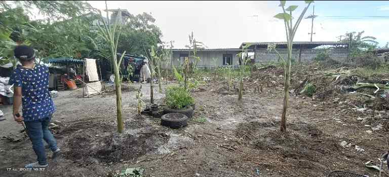 ขายที่ดินถมแล้วย่านใจกลางเมือง ตำบล ห้วยกะปิ อำเภอ เมืองชลบุรี ชลบุรี 