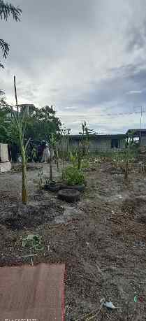 ขายที่ดินถมแล้วย่านใจกลางเมือง ตำบล ห้วยกะปิ อำเภอ เมืองชลบุรี ชลบุรี 