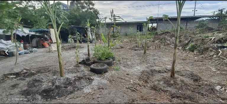 ขายที่ดินถมแล้วย่านใจกลางเมือง ตำบล ห้วยกะปิ อำเภอ เมืองชลบุรี ชลบุรี 