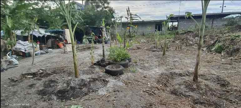 ขายที่ดินถมแล้วย่านใจกลางเมือง ตำบล ห้วยกะปิ อำเภอ เมืองชลบุรี ชลบุรี 