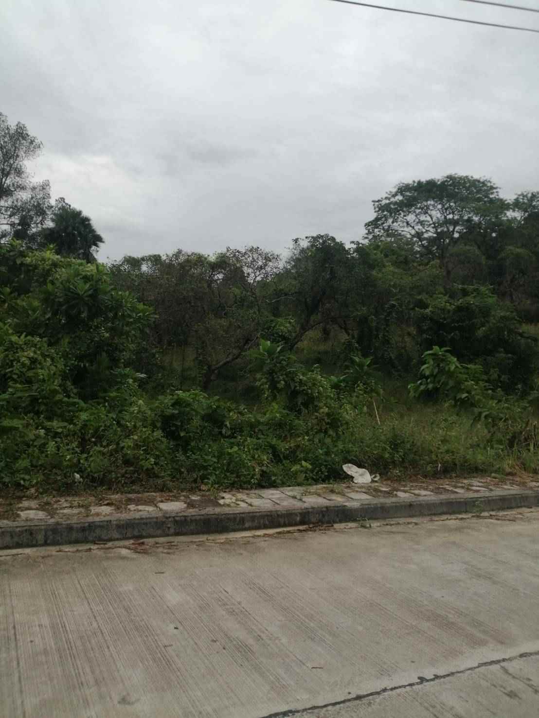 ขายที่ดินสวยใจกลางเกาะพยามติดถนนเส้นหลักอ.เมือง จ.ระนอง