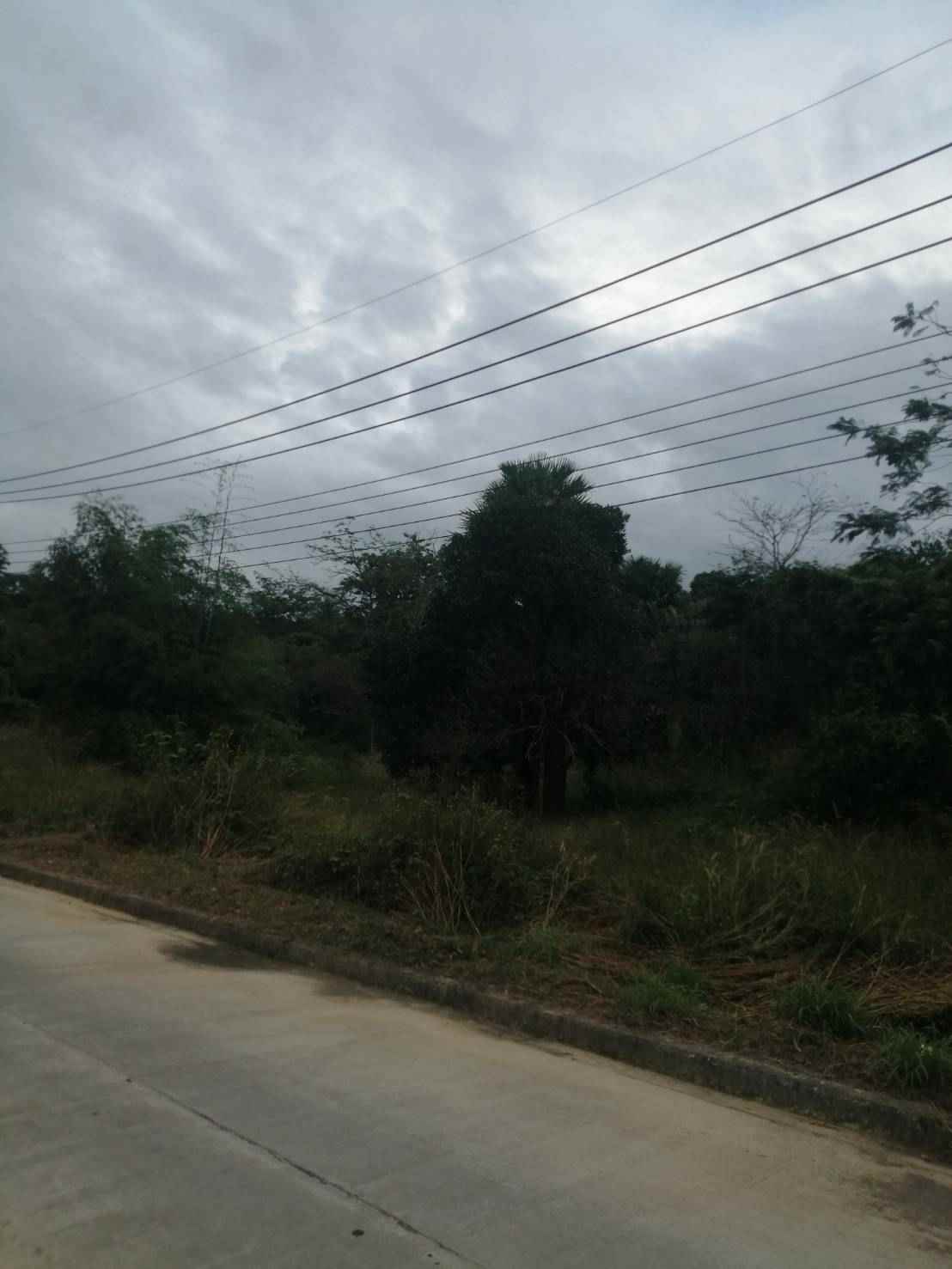 ขายที่ดินสวยใจกลางเกาะพยามติดถนนเส้นหลักอ.เมือง จ.ระนอง