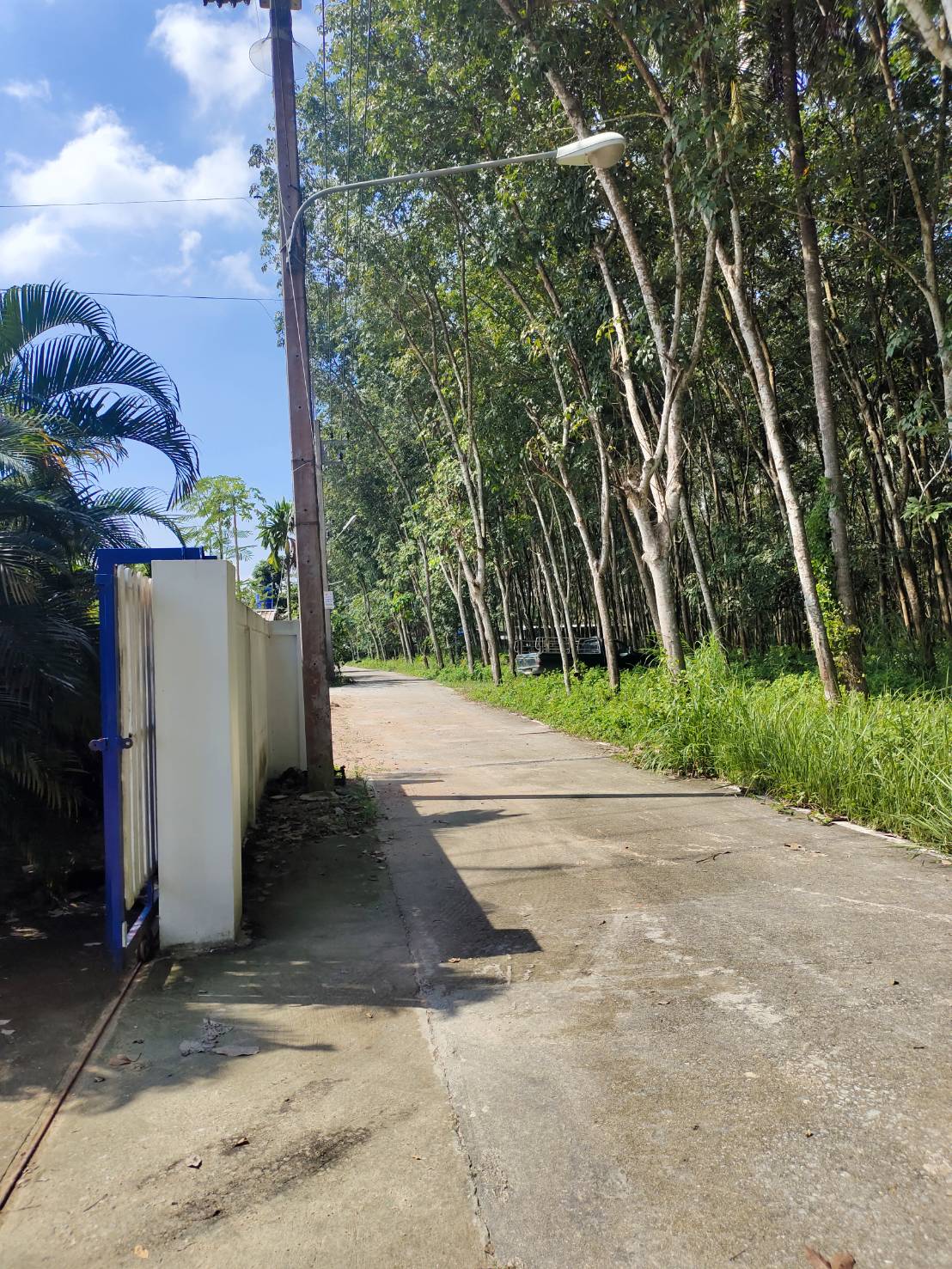 ขายด่วนโกดังพร้อมออฟฟิศ ทำเลดี อำเภอนิคมพัฒนา จังหวัดระยอง