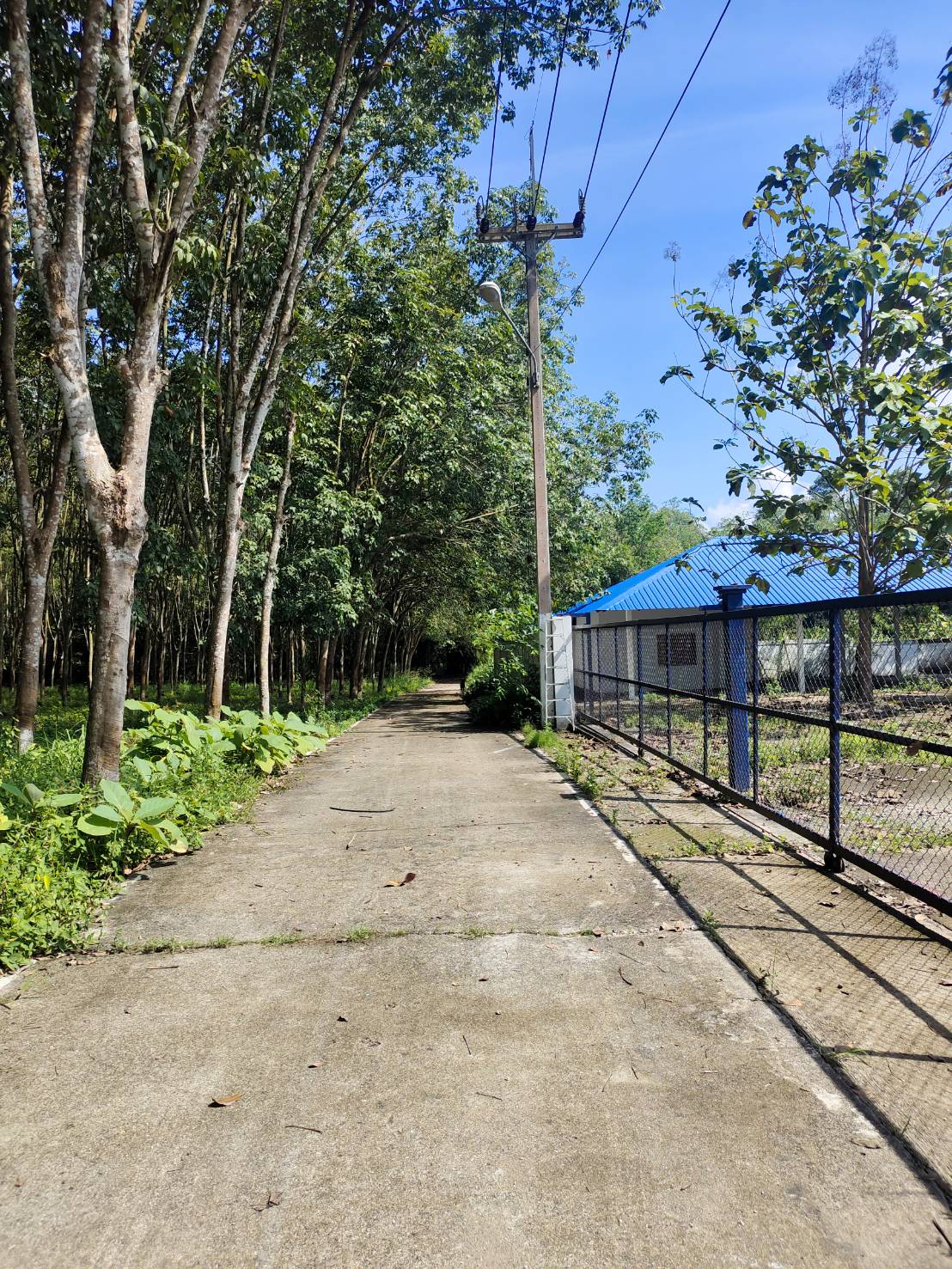 ขายด่วนโกดังพร้อมออฟฟิศ ทำเลดี อำเภอนิคมพัฒนา จังหวัดระยอง