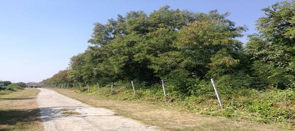 ขาย ที่ 69ไร่เศษ หน้ากว้างจุใจเเวดล้อมสถานที่สำคัญหลายเเห่ง เดินทางได้หลายเส้นทาง เพียง 15 นาทีถนนเอกชัย - KK2661S