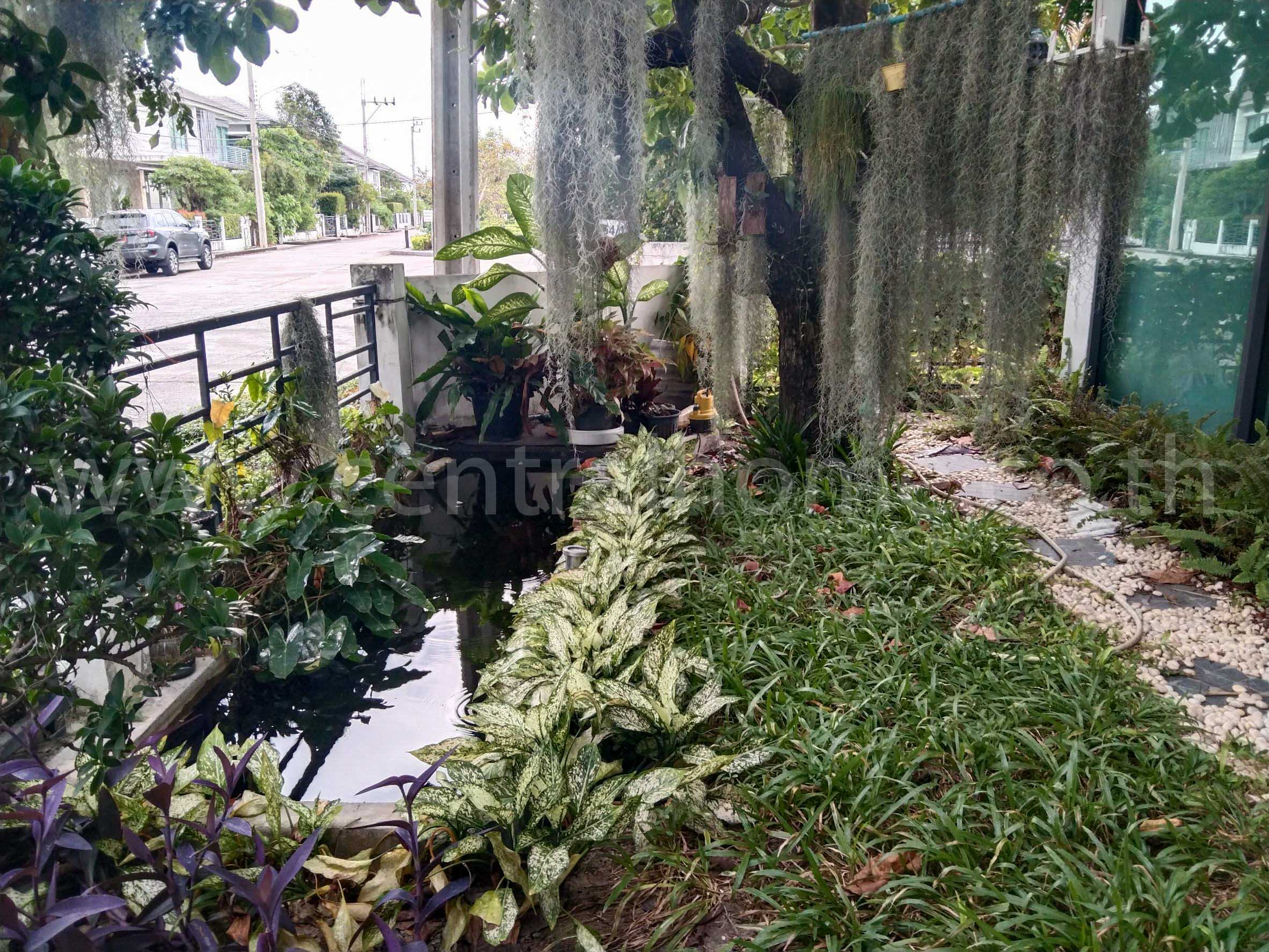 บ้านเดี่ยว เพอร์เฟค เพลส รัตนาธิเบศร์ หลังมุม ถนนเมน