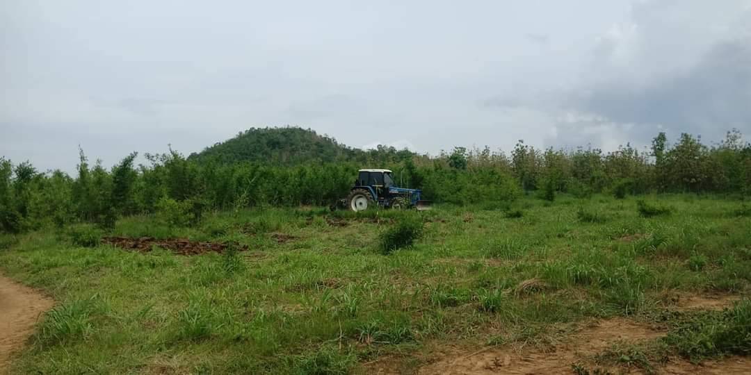 ขายที่ดินพร้อมบ้าน ที่สวยทำเลดีเหมาะสำหรับทำสวนยางเเละสวนไผ่กล้วย resort บ้านพักตากอากาศจังหวัดเลย