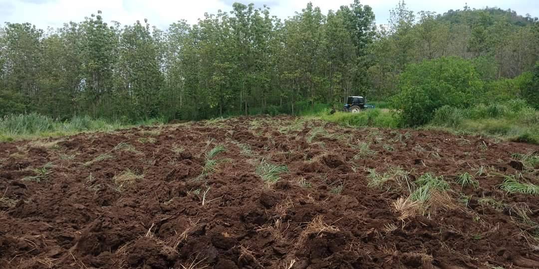 ขายที่ดินพร้อมบ้าน ที่สวยทำเลดีเหมาะสำหรับทำสวนยางเเละสวนไผ่กล้วย resort บ้านพักตากอากาศจังหวัดเลย