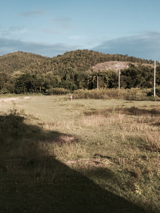 ขายที่ดินเปล่า ทำเลดี วิวสวย อำเภอสันกำแพง จังหวัดเชียงใหม่