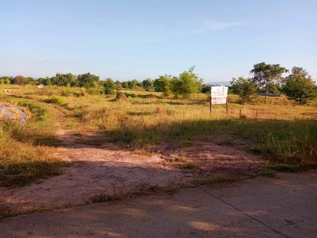 ขายที่นา 8 ไร่ ติดถนนหลวง ตำบลรอบเมือง อำเภอเมืองชัยภูมิ จังหวัดชัยภูมิ 