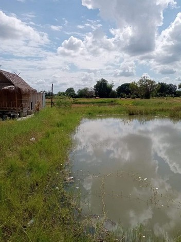 ขายที่นา 8 ไร่ ติดถนนหลวง ตำบลรอบเมือง อำเภอเมืองชัยภูมิ จังหวัดชัยภูมิ 