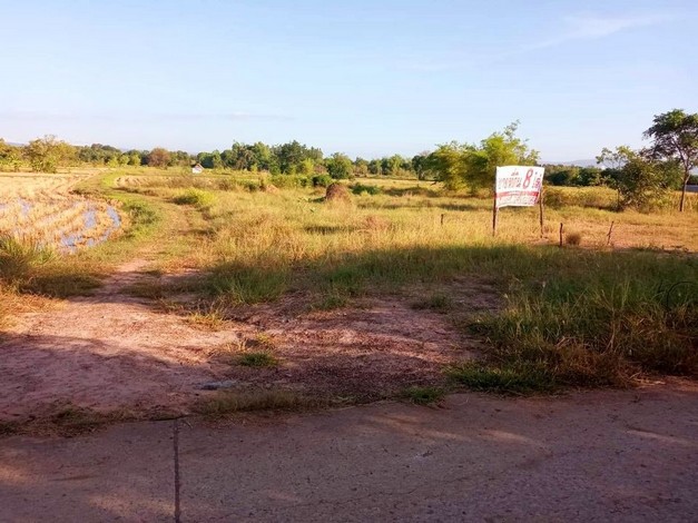 ขายที่นา 8 ไร่ ติดถนนหลวง ตำบลรอบเมือง อำเภอเมืองชัยภูมิ จังหวัดชัยภูมิ 