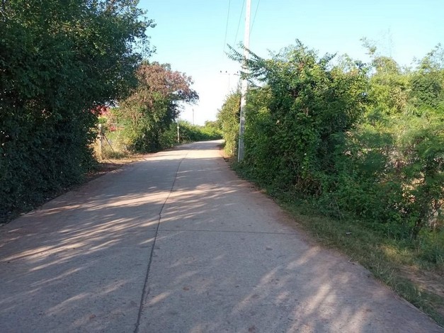 ขายที่นา 8 ไร่ ติดถนนหลวง ตำบลรอบเมือง อำเภอเมืองชัยภูมิ จังหวัดชัยภูมิ 