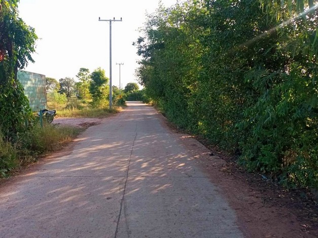 ขายที่นา 8 ไร่ ติดถนนหลวง ตำบลรอบเมือง อำเภอเมืองชัยภูมิ จังหวัดชัยภูมิ 