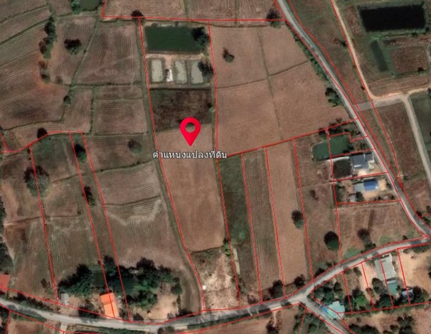 ขายที่นา 8 ไร่ ติดถนนหลวง ตำบลรอบเมือง อำเภอเมืองชัยภูมิ จังหวัดชัยภูมิ 