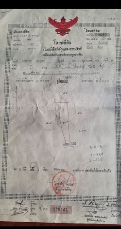 ขายที่นา 8 ไร่ ติดถนนหลวง ตำบลรอบเมือง อำเภอเมืองชัยภูมิ จังหวัดชัยภูมิ 