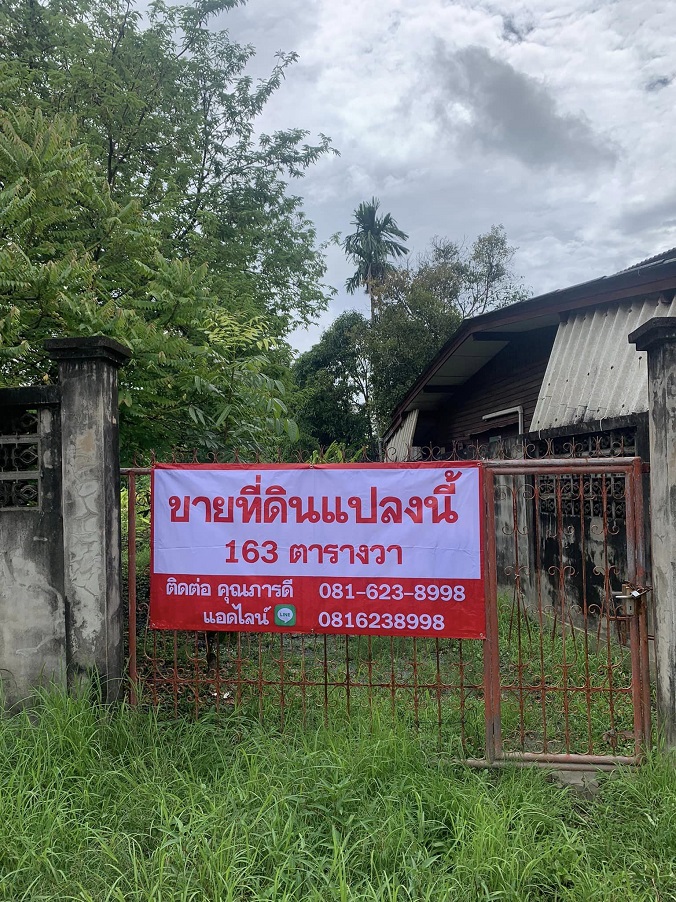 ขายที่ดิน 163 ตารางวา  ซอยเฉลิมพระเกียรติ 38 ประเวศ กรุงเทพมหานคร