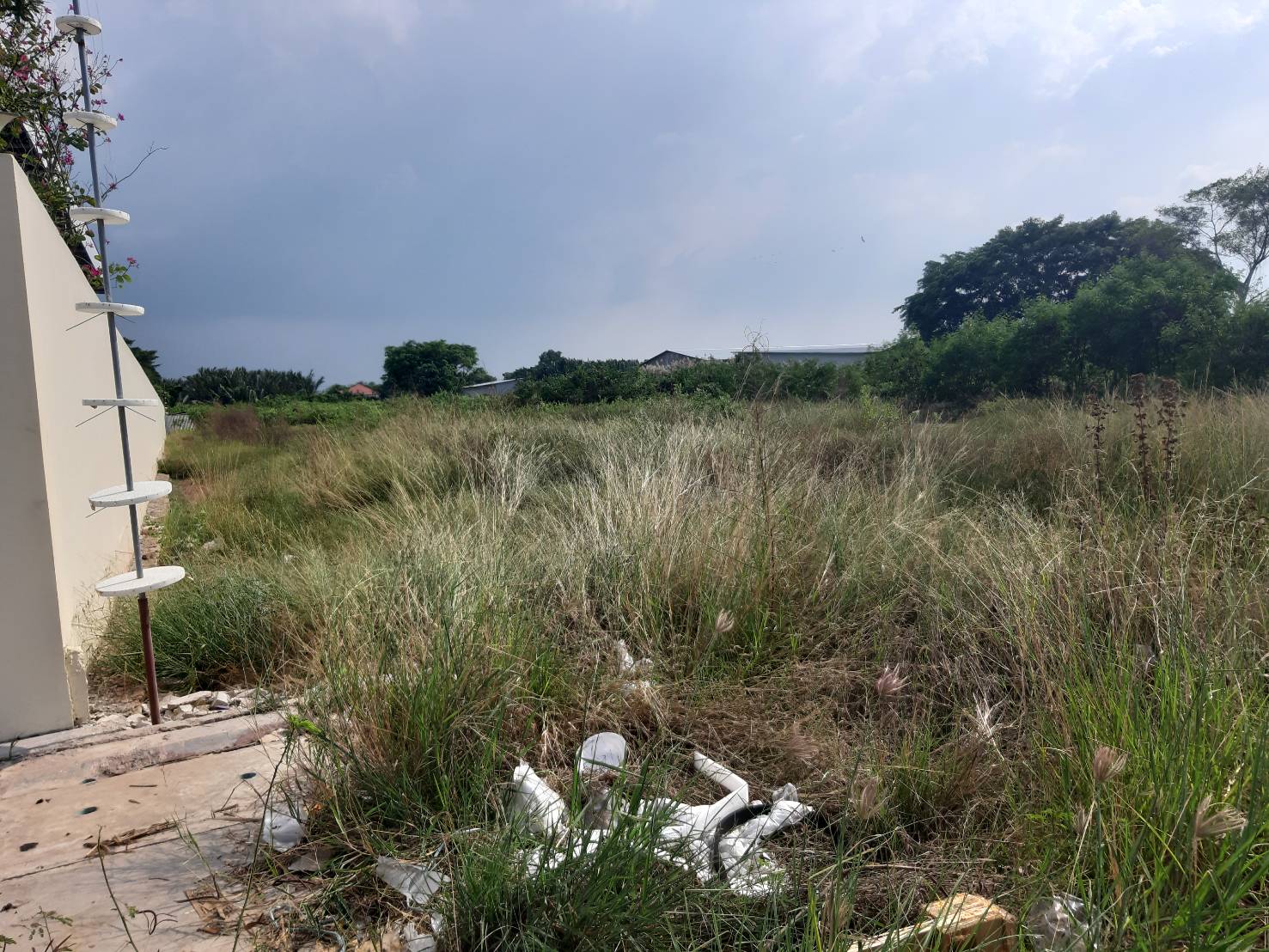 ขายที่ดินเปล่า 8ไร่เศษ ในซอยบางกระดี่ 35/1 ใกล้รง.ฮาตาริ