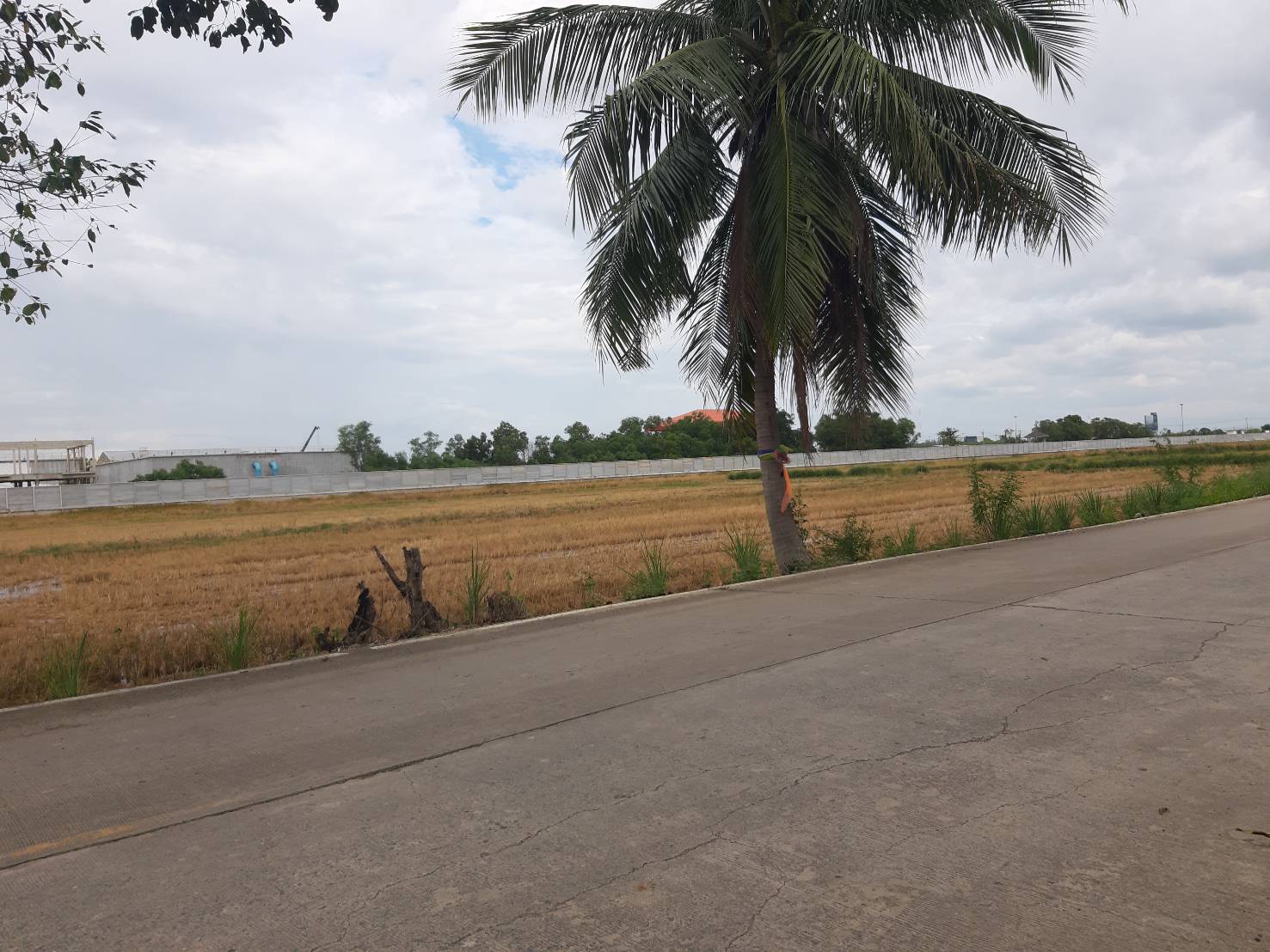 ขายที่ดิน 2ไร่ 10 วา ติดถนนคลอง4 ตะวันออก26 