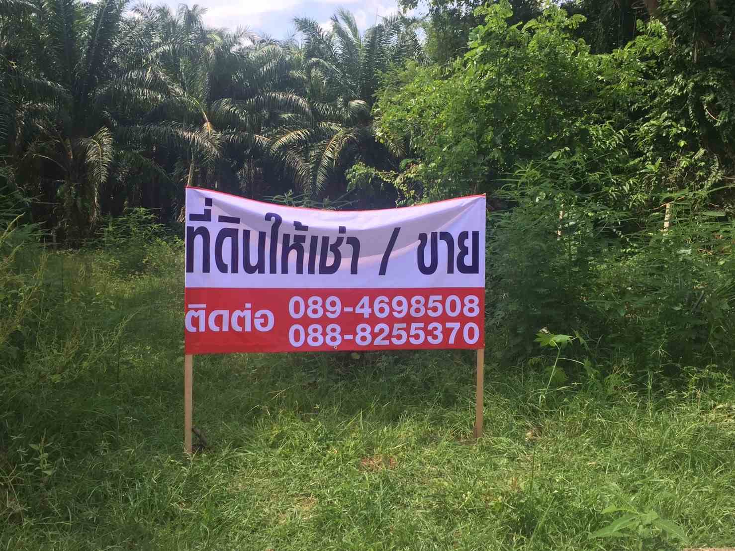 ขายด่วนที่ดินราคาถูก ทำเลดี ใกล้เเหล่งชุนชน อำเภอกันตัง จังหวัดตรัง