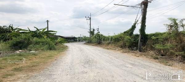 ขายที่สร้างโกดัง เริ่ม 1-1.5ไร่ ใกล้พุทธสาคร ใช้เทรลเลอร์ เข้าออกสะดวก ครบครันน้ำประปา ไฟฟ้า3เฟส ท่อระบายน้ำ ใกล้ ถ. พุทธสาครเพียง 4 นาที KK3578S