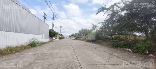 ขายที่สร้างโรงงาน 5.5 ไร่ โดดเด่นหน้ากว้าง 129 ม. ถมพร้อมสูงกว่าถนน เทรลเลอร์เข้าออกสะดวก ใกล้ถนนเอกชัยเเละพระราม 2 - KK5504S