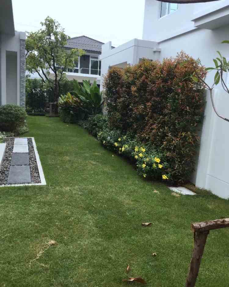 ขายบ้านเดี่ยว หมู่บ้าน มัณฑนา ราชพฤกษ์-สะพานมหาเจษฎาบดินทร์ฯ  อ.เมือง นนทบุรี 