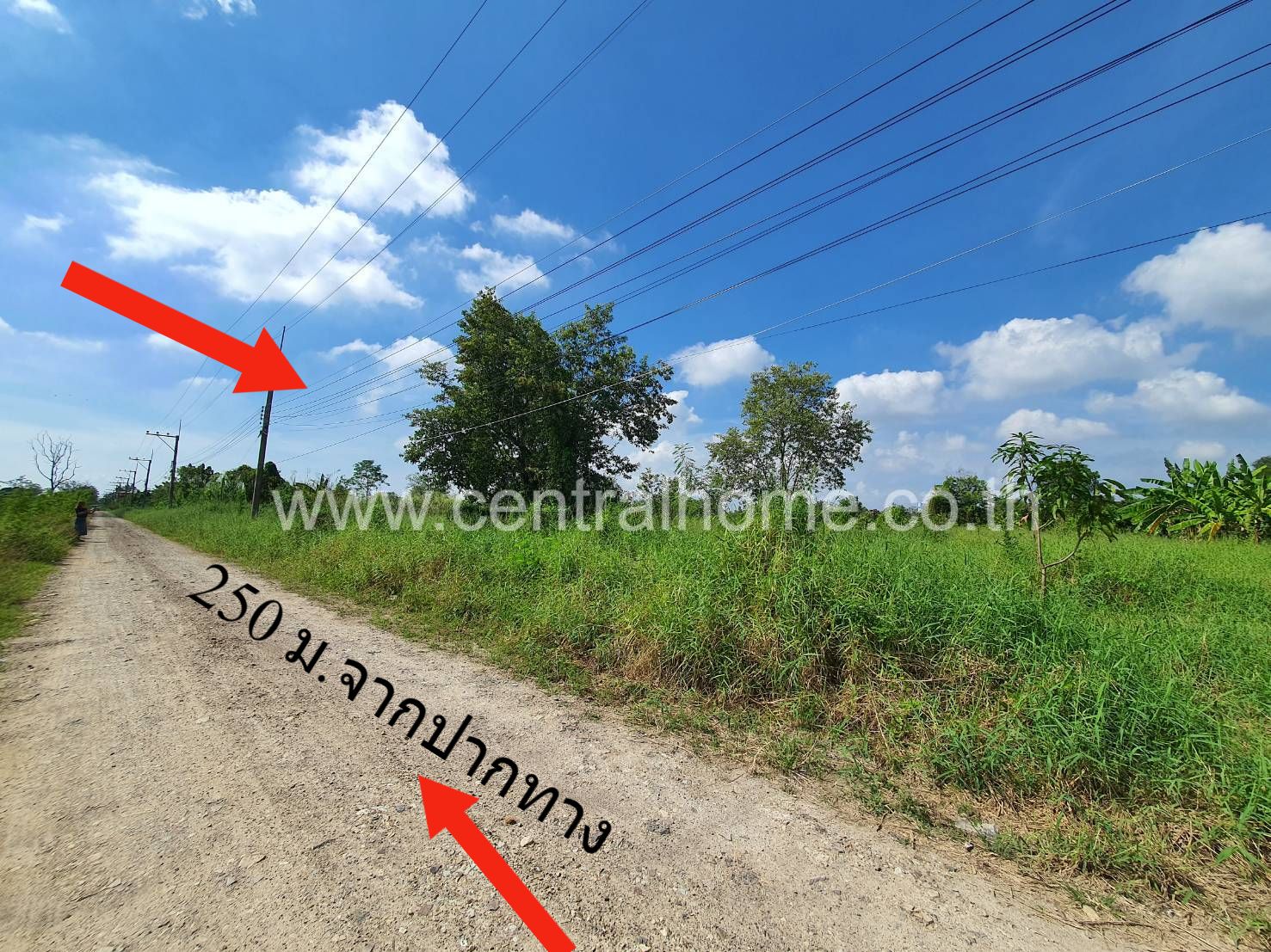 ที่ดินเปล่า แปลงสวย