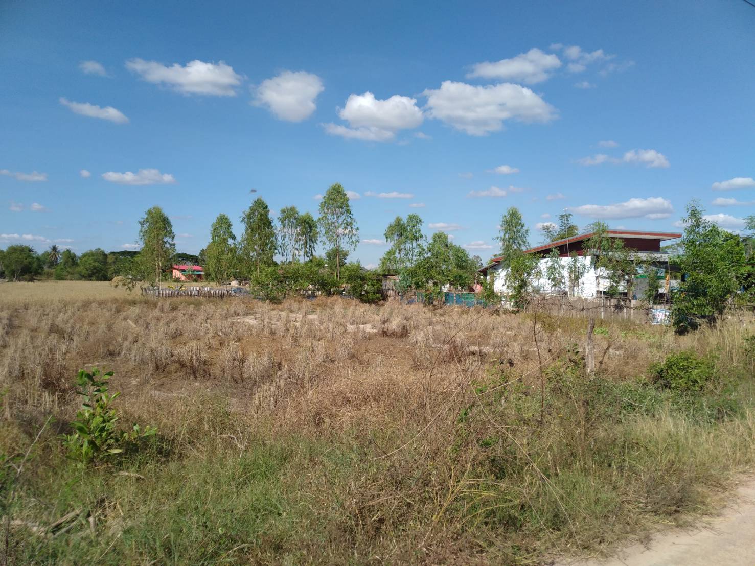 ขายที่ดิน 1-0-0 THB1,100,000 เชียงพิณ เมือง อุดรธานี