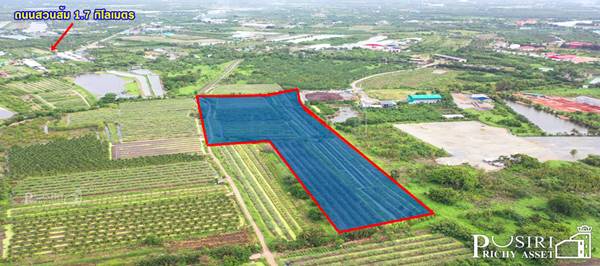 ขายที่ 31ไร่ หน้ากว้างมาก 133เมตร ราคาคุ้มสุด ในตลาดเชื่อมต่อหลายเส้นทาง ถนน สวนส้ม บางปลา และพระราม 2