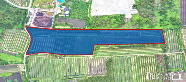 ขายที่ 31ไร่ หน้ากว้างมาก 133เมตร ราคาคุ้มสุด ในตลาดเชื่อมต่อหลายเส้นทาง ถนน สวนส้ม บางปลา และพระราม 2