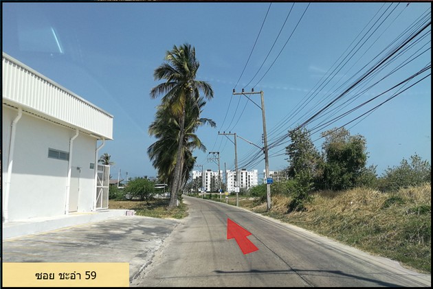 ขายที่ดินแปลงสวย ทำเลดี ตั้งอยู่ภายในซ.ชะอำ 59 ห่างทะเล 500 เมตร จ.เพชรบุรี