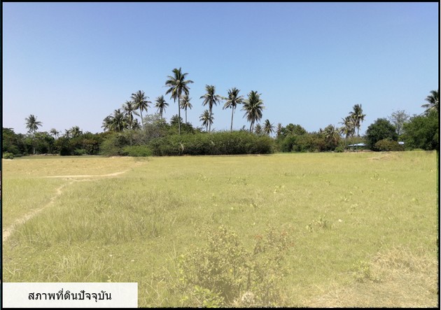 ขายที่ดินแปลงสวย ทำเลดี ตั้งอยู่ภายในซ.ชะอำ 59 ห่างทะเล 500 เมตร จ.เพชรบุรี