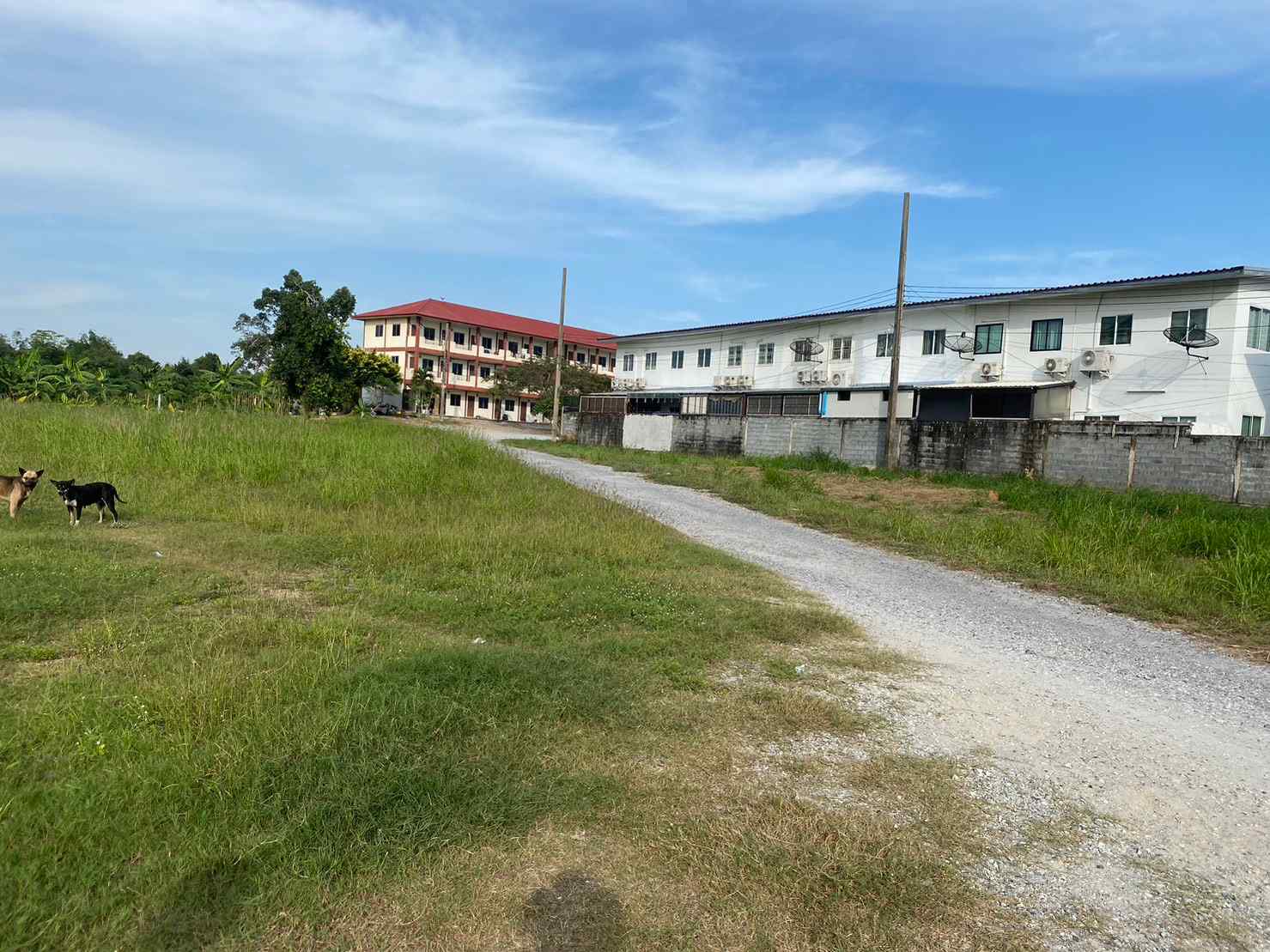 ขายที่ดิน ติดถนน ทำเลดี ต.หนองปลาไหล อ. บางละมุง จ.ชลบุรี เจ้าของขายเอง