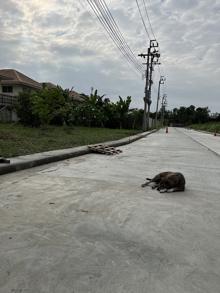 ขาย ที่ดิน ย่านบางซื่อ เนื้อที่ 70 ตร.วา ซอย วงศ์สว่าง 19 ใกล้ สถานีรถไฟฟ้า MRT วงศ์สว่าง